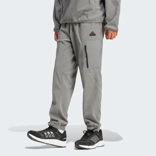 Штаны мужские Adidas City Escape Polar Fleece Grey IY1498