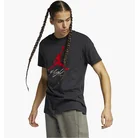 Футболка чоловіча Air Jordan T-Shirt Jumpman Flight Black AO0664-010