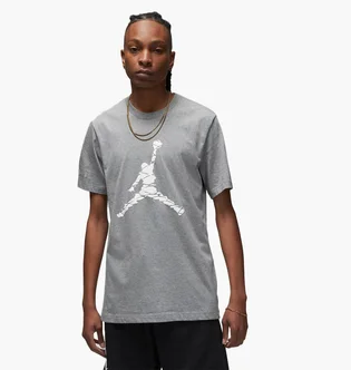 Футболка мужская Air Jordan T-Shirt Essentials Grey DX9581-091