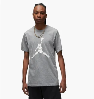 Футболка мужская Air Jordan T-Shirt Essentials Grey DX9581-091