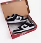 Кросівки чоловічі Nike Dunk Low Retro Black/White FQ8249-100