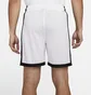 Шорты мужские Air Jordan Dri-Fit White/Black DH9077-100
