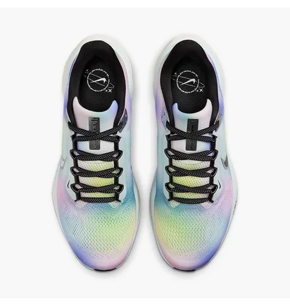 Кросівки жіночі Nike Air Zoom Pegasus 41 Multi HJ7816-400