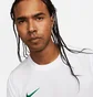 Футболка мужская Nike M Nk Df Park Vii Jsy Ss White Bv6708-101