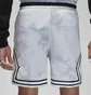 Шорти чоловічі Air Jordan M J Df Sprt Bc Aop Dmnd Short Grey DZ0561-043