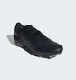 Бутсы унисекс Adidas X Crazyfast.1 Fg Black GY7417