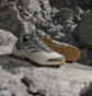 Кроссовки мужские Adidas Terrex Eastrail 2 R.Rdy Beige/Grey IH1164
