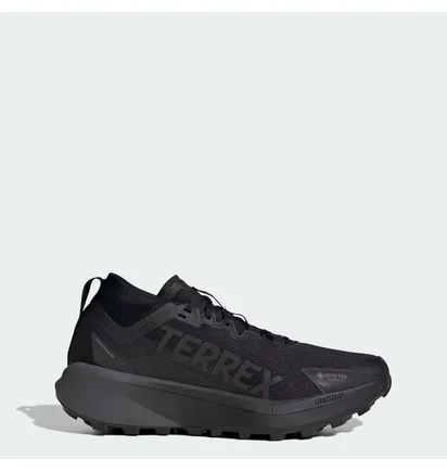 Кросівки чоловічі Adidas Terrex Agravic Gtx Black JR5240