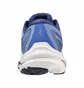 Кросівки жіночі Mizuno Wave Inspire 18 Blue J1GD224402