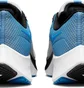 Кросівки чоловічі Nike Air Zoom Pegasus 38 White/Blue CW7356-009