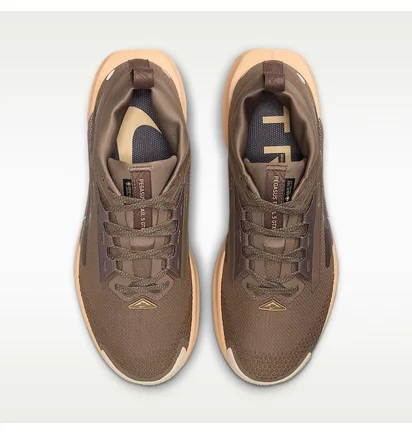 Кросівки унісекс Nike Pegasus Trail 5 Gtx Brown FQ0912-200