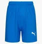 Шорты детские Puma Liga Core Blue 703437-02