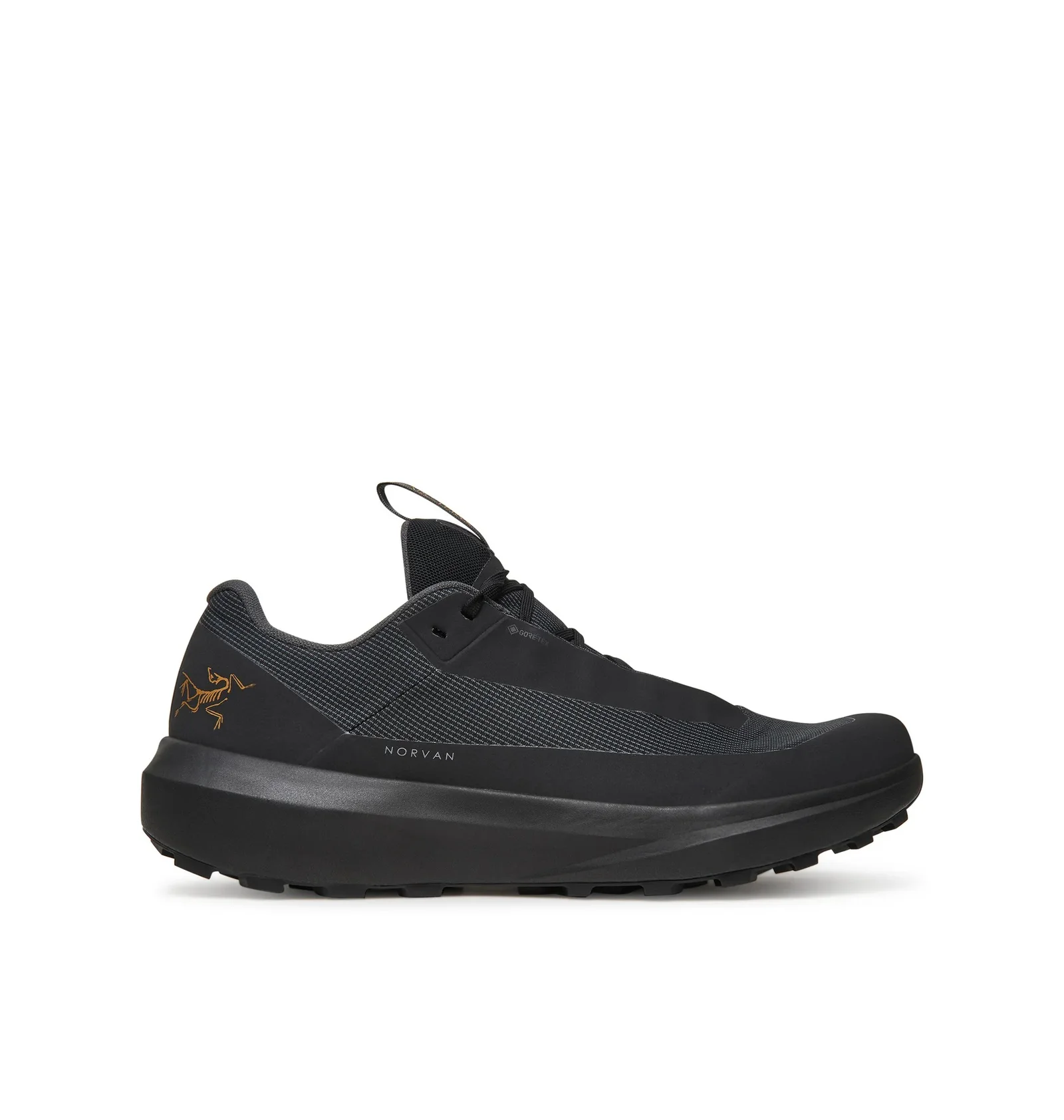 ᐉ Кросівки чоловічі Arc'teryx Norvan Ld 4 Gtx Black X000009612