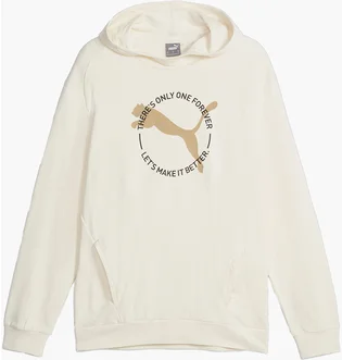 Худи мужское Puma Better Sportswear Beige 676064-99