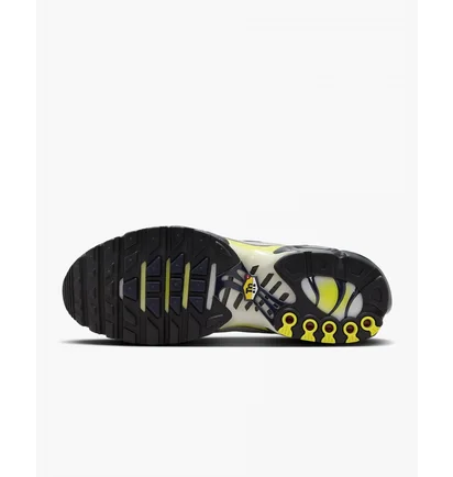Кросівки чоловічі Nike Air Max Plus Grey/Violet FZ4622-001