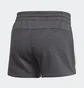 Шорты женские Adidas Essentials Linear Logo Grey DU0673
