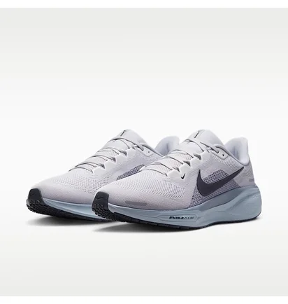 Кросівки чоловічі Nike Air Zoom Pegasus 41 Beige FD2722-015