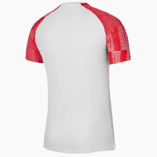 Футболка мужская Nike Dri-Fit Academy White DH8031-100
