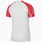 Футболка мужская Nike Dri-Fit Academy White DH8031-100
