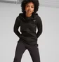 Спортивный костюм женский Puma Classics Hooded Fl Black 622637-01