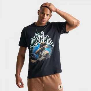 Футболка мужская Air Jordan Sport Dri-Fit Graphic T-Shirt Black FN6016-010