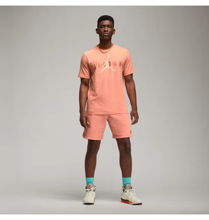Футболка мужская Air Jordan Air Wm Tee Orange Ck4212-827