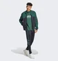 Олімпійка чоловіча Adidas Tiro Black/Green IM2895