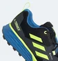 Кроссовки мужские Adidas Terrex Two Gore-tex Black FV8102