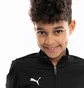 Спортивный костюм детский Puma Teamrise Black 658655-03