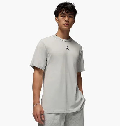 Футболка мужская Air Jordan Sport Dri-Fit Short-Sleeve Top Grey FN5829-034
