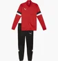 Спортивний костюм чоловічий Puma Teamrise Trainingsanzug F01 Red/Black 658653-01