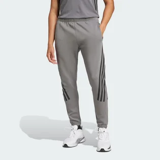 Штаны мужские Adidas Future Icons 3-Stripes Sportswear Grey IW8535