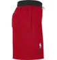 Шорты мужские Nike Chicago Red DB1945-657