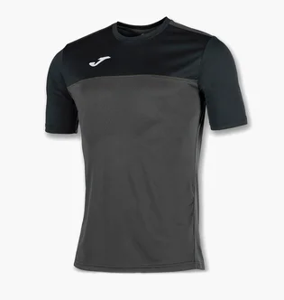 Футболка мужская Joma Winner Grey/Black 100946.151