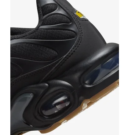 Кроссовки мужские Nike Air Max Plus Adds Gum Bottoms Black FV0385-001