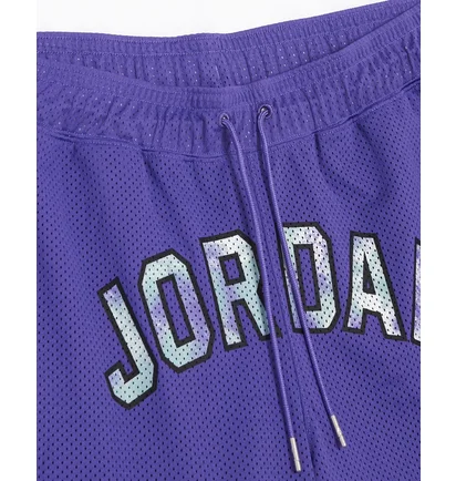 Шорты мужские Nike Air Jordan Jumpman Sport Dna Mesh Short Violet Dm1414-579
