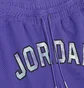 Шорты мужские Nike Air Jordan Jumpman Sport Dna Mesh Short Violet Dm1414-579