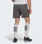 Шорты мужские Adidas Entrada 22 Shorts Grey H57505