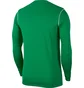 Лонгслів дитячий Nike Dri-Fit Park 20 Green FJ3008-302