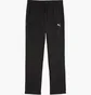 Штаны мужские Puma Tech Black 688046-01