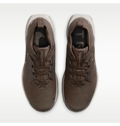 Кроссовки женские Nike Pegasus Trail 5 Brown FQ0912-012