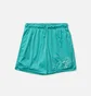 Шорти чоловічі Air Jordan Essentials Mesh Turquoise DH9048-392