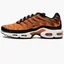 Кросівки чоловічі Nike Air Max Plus Orange DM0032-800
