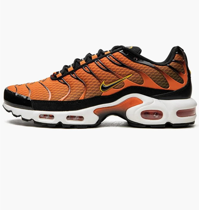 Кросівки чоловічі Nike Air Max Plus Orange DM0032-800