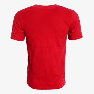 Футболка мужская Nike Air Jordan Red AQ3697-687