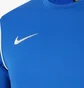 Лонгслив мужской Nike Dry Park20 Crew Top Blue Bv6875-463