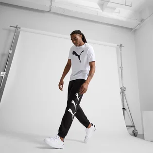 Футболка чоловіча Puma Essentials Big Cat White 678890-02