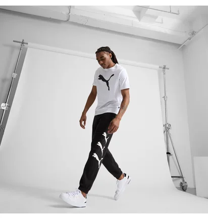 Футболка мужская Puma Essentials Big Cat White 678890-02