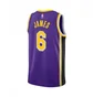 Майка мужская Air Jordan Nba Los Angeles Lakers Swingman Jersey Statement Edition Lebron James Violet CV9481-513