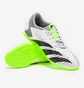 Футзалки унісекс Adidas Predator Accuracy.4 In Sala White GY9986